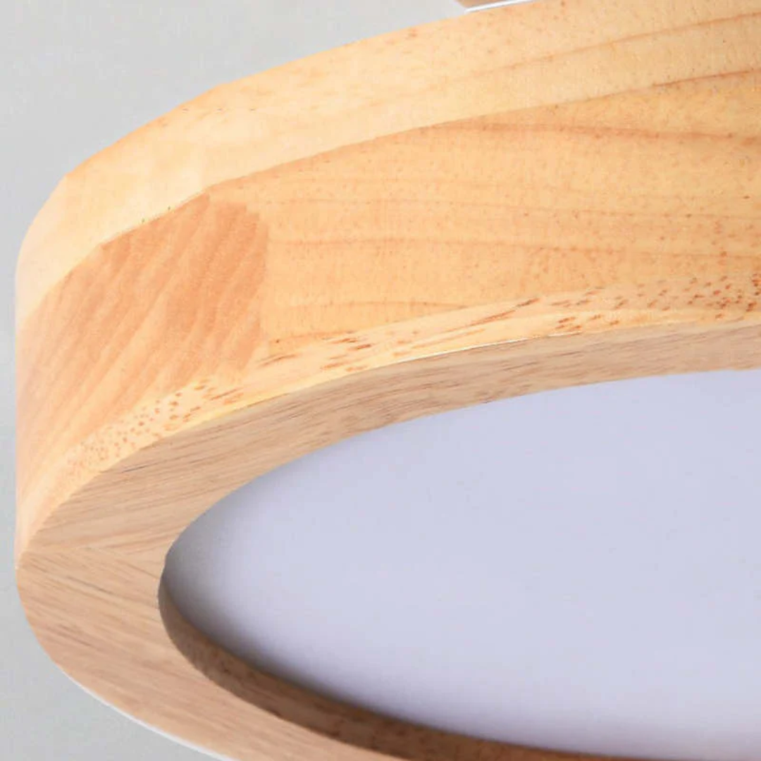 Sleek Contemporary LED Light Fixture