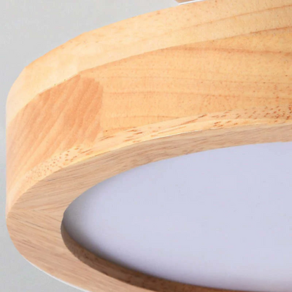Sleek Contemporary LED Light Fixture