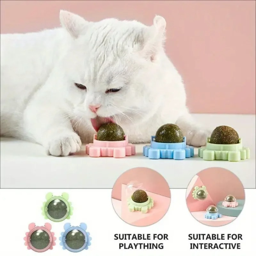 Fun Furry Cat Toy Ball