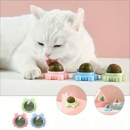 Fun Furry Cat Toy Ball