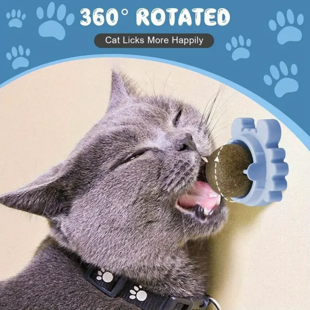 Fun Furry Cat Toy Ball - Befez