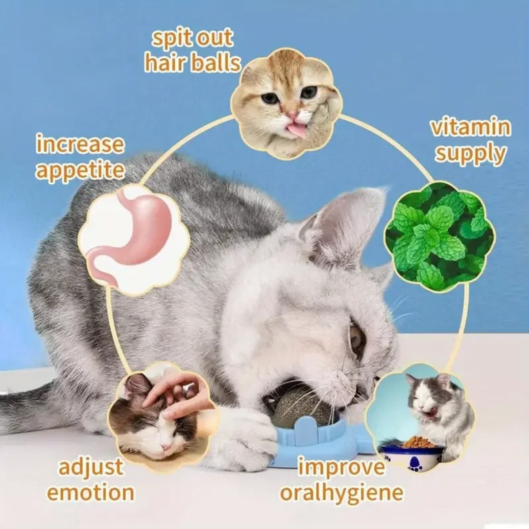 Fun Furry Cat Toy Ball
