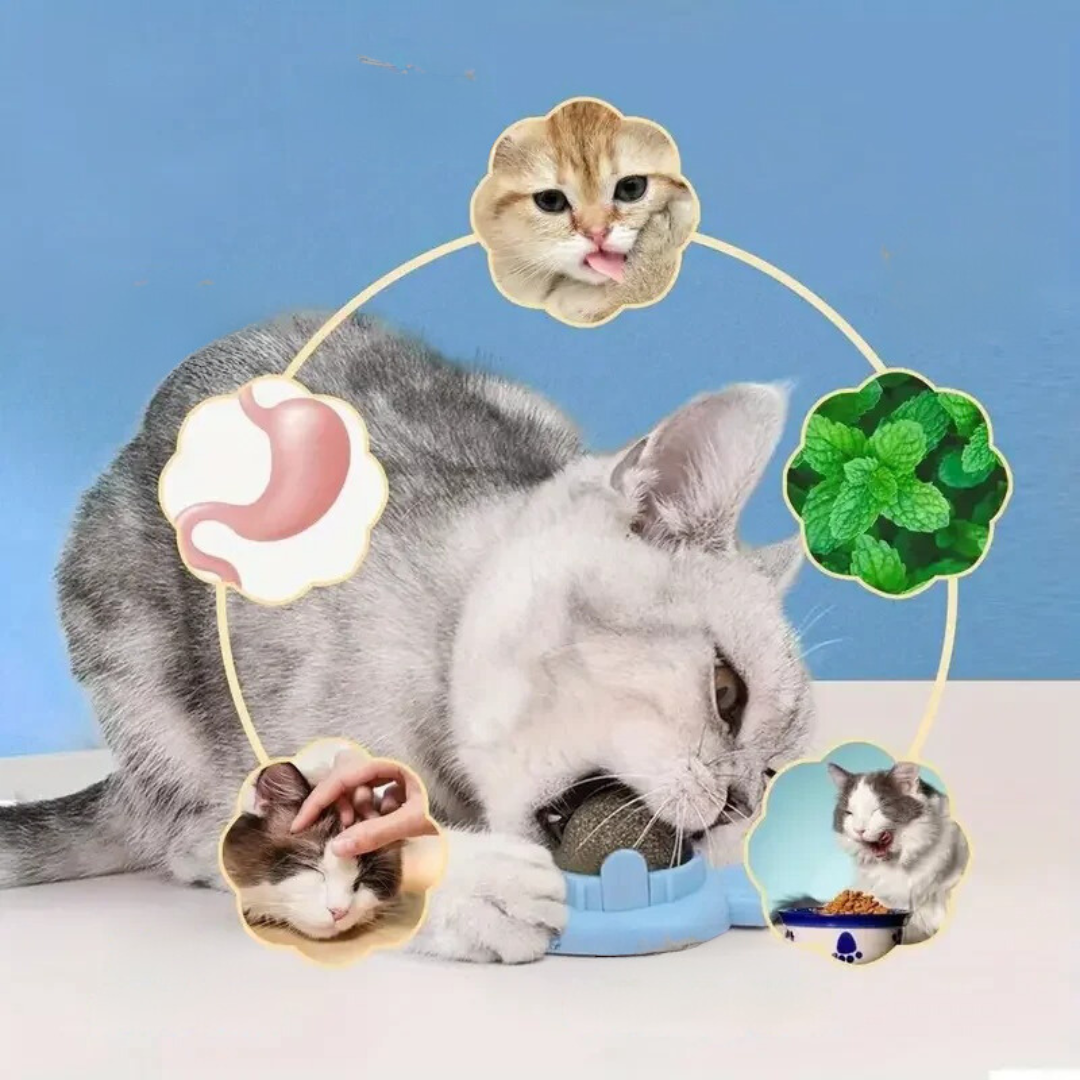 Fun Furry Cat Toy Ball
