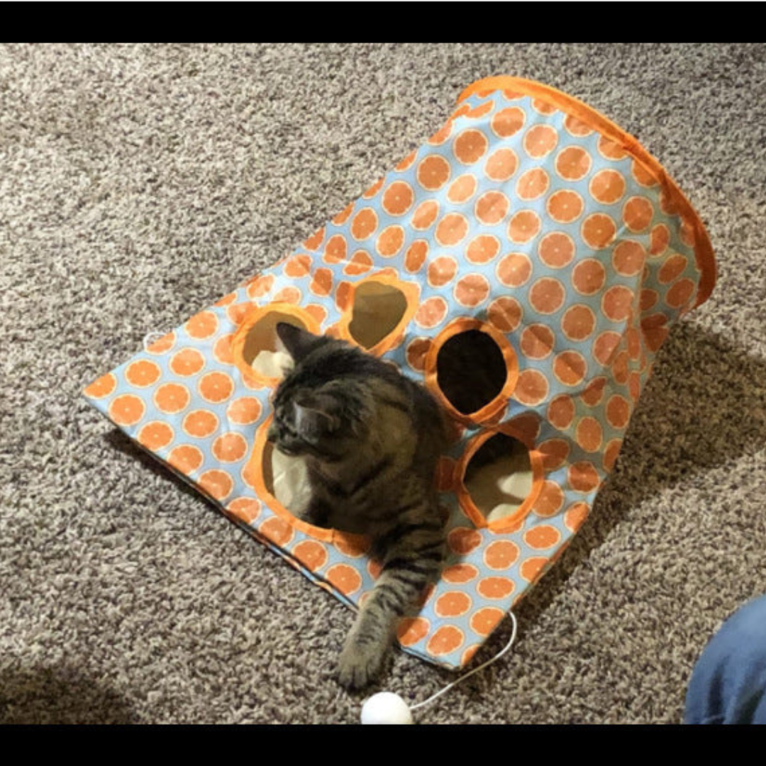 Fun Pet Play Tunnel Toy - Befez