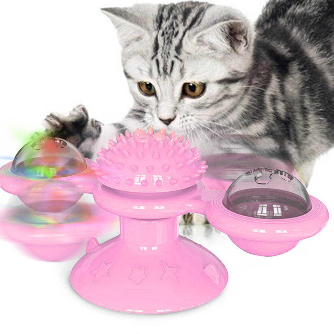 Fun Pet Carousel Cat Toy