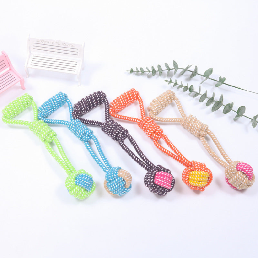 Tough Dog Toy Play Set for Chew and Tug