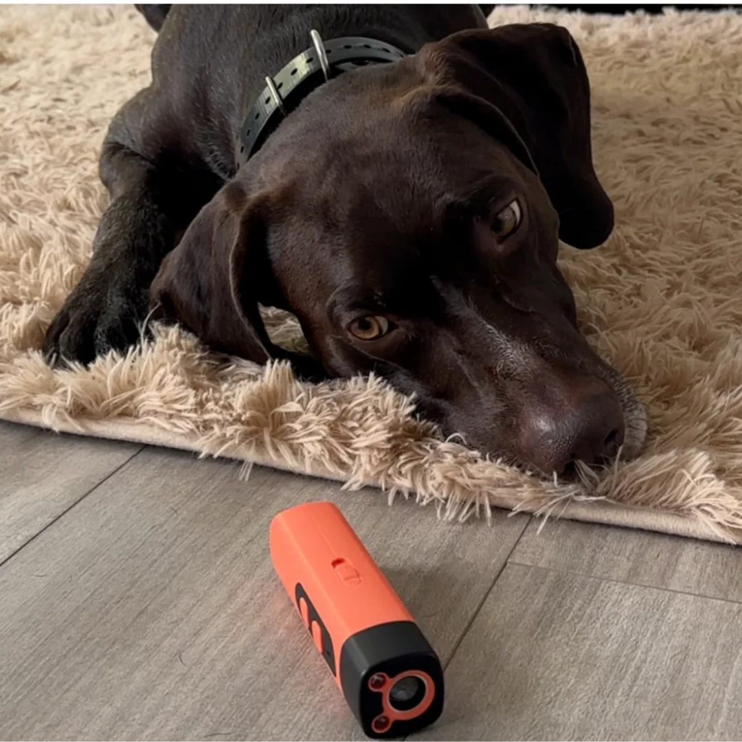 Pet Safe Ultrasonic Anti Bark Controller Device