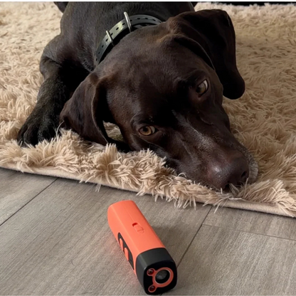 Pet Safe Ultrasonic Anti Bark Controller Device