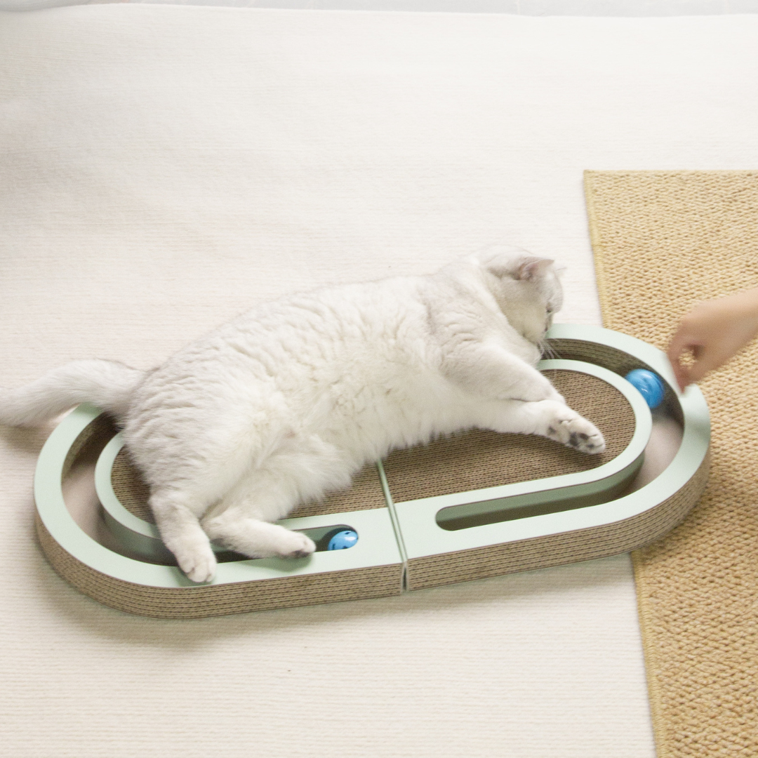 Fun Cardboard Kitty Scratcher Bed