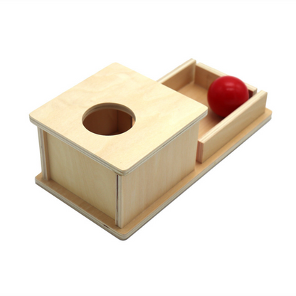 Natural Wood Toy Box with Ball for Kids