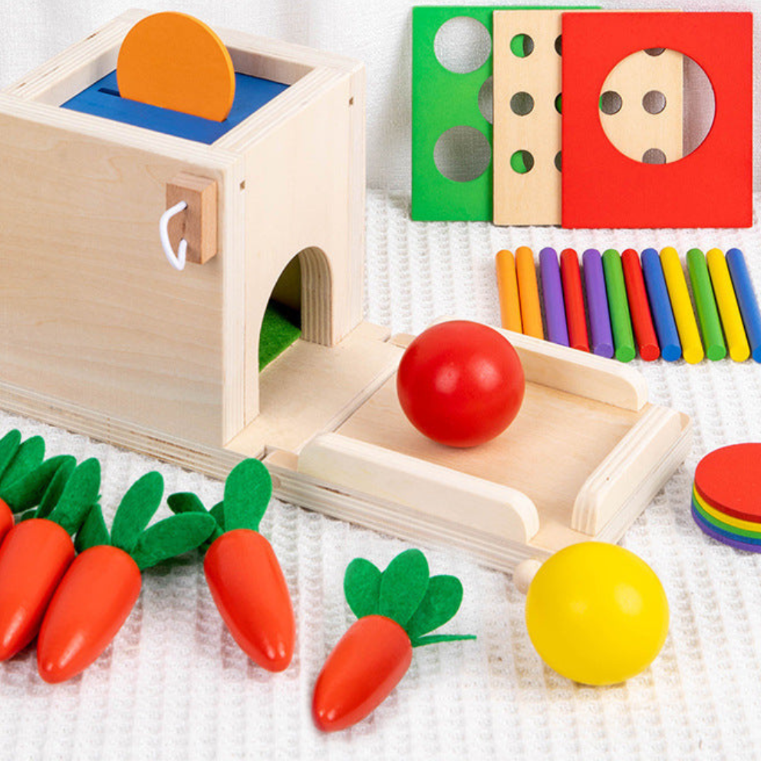 Wooden Educational Toy Set for Kids 5 in 1
