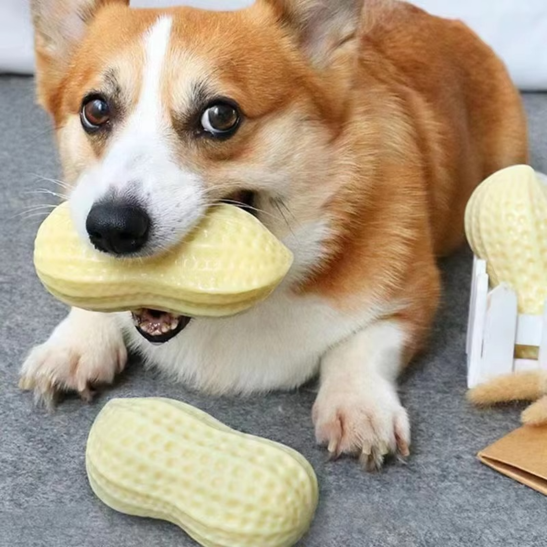 Tough Rubber Dog Chew Toy Befez