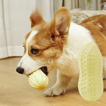 Tough Rubber Dog Chew Toy Befez