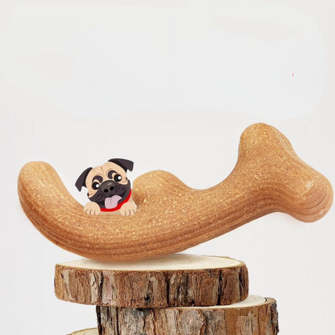 Tough Long Lasting Dog Chew Toy