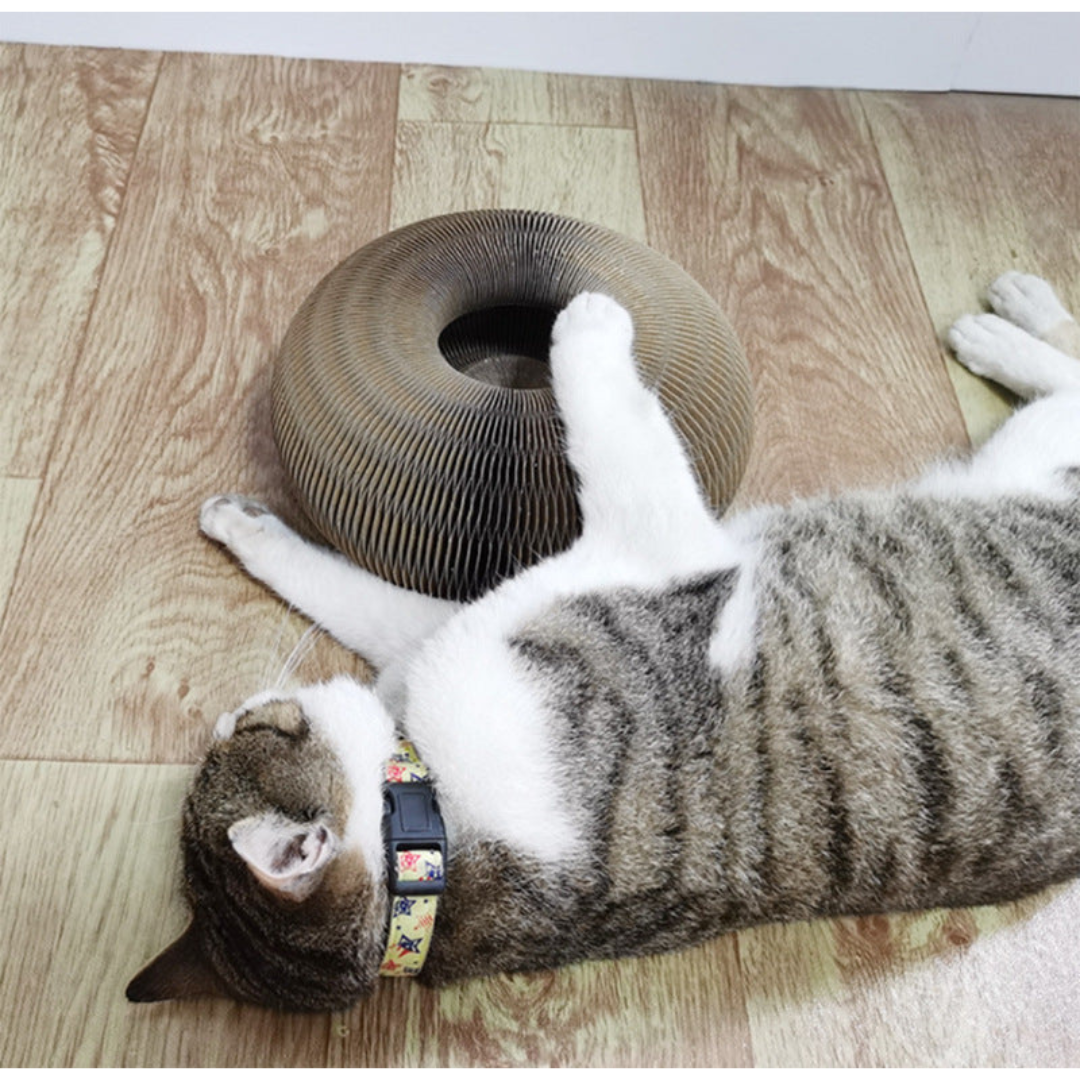 Fun Cat Play Ball Scratcher
