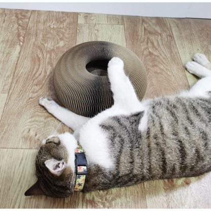Fun Cat Play Ball Scratcher