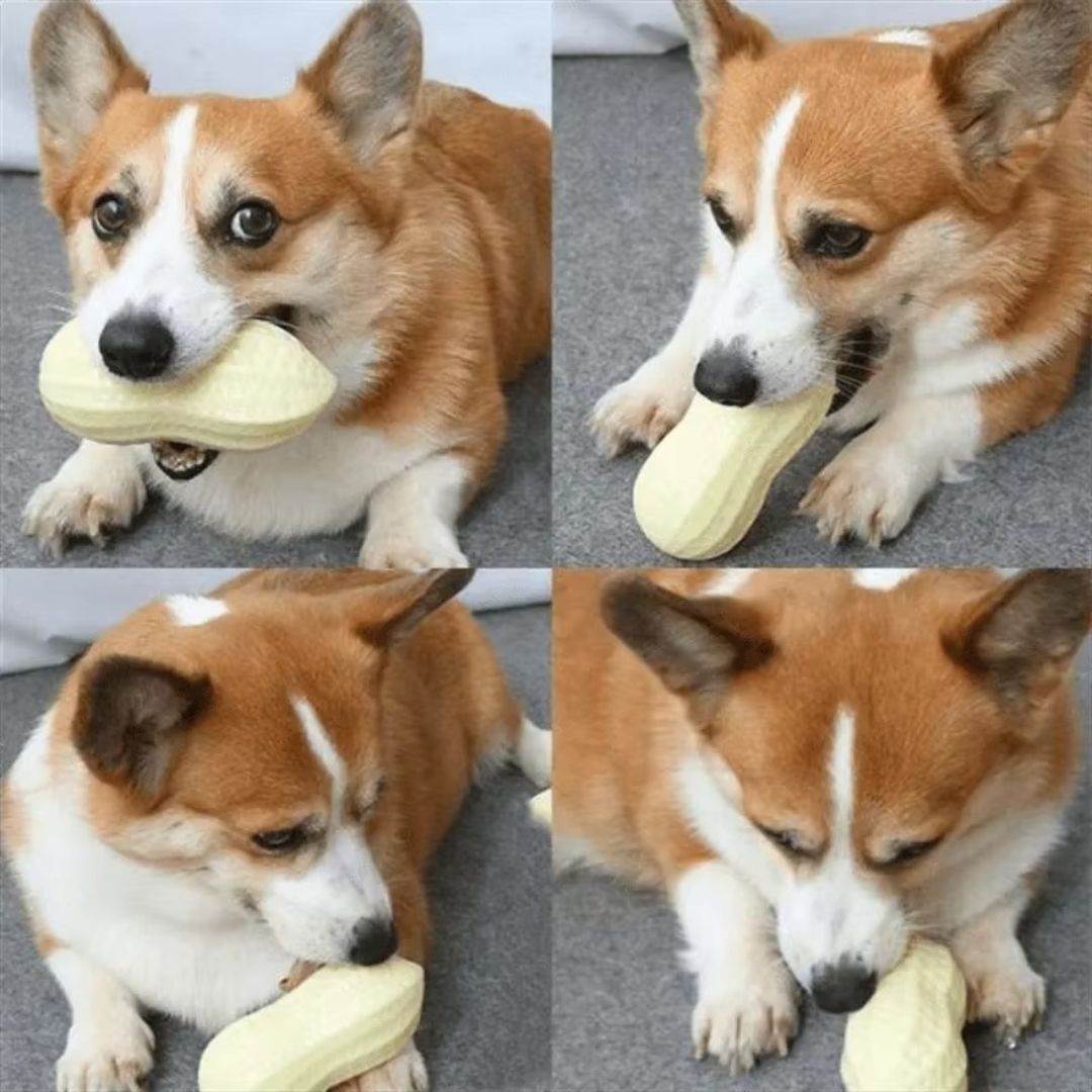 Tough Rubber Dog Chew Toy Befez