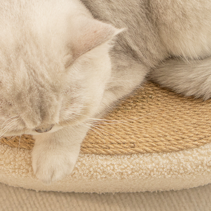 Comfy Cat Scratcher Bed in Natural Beige Color