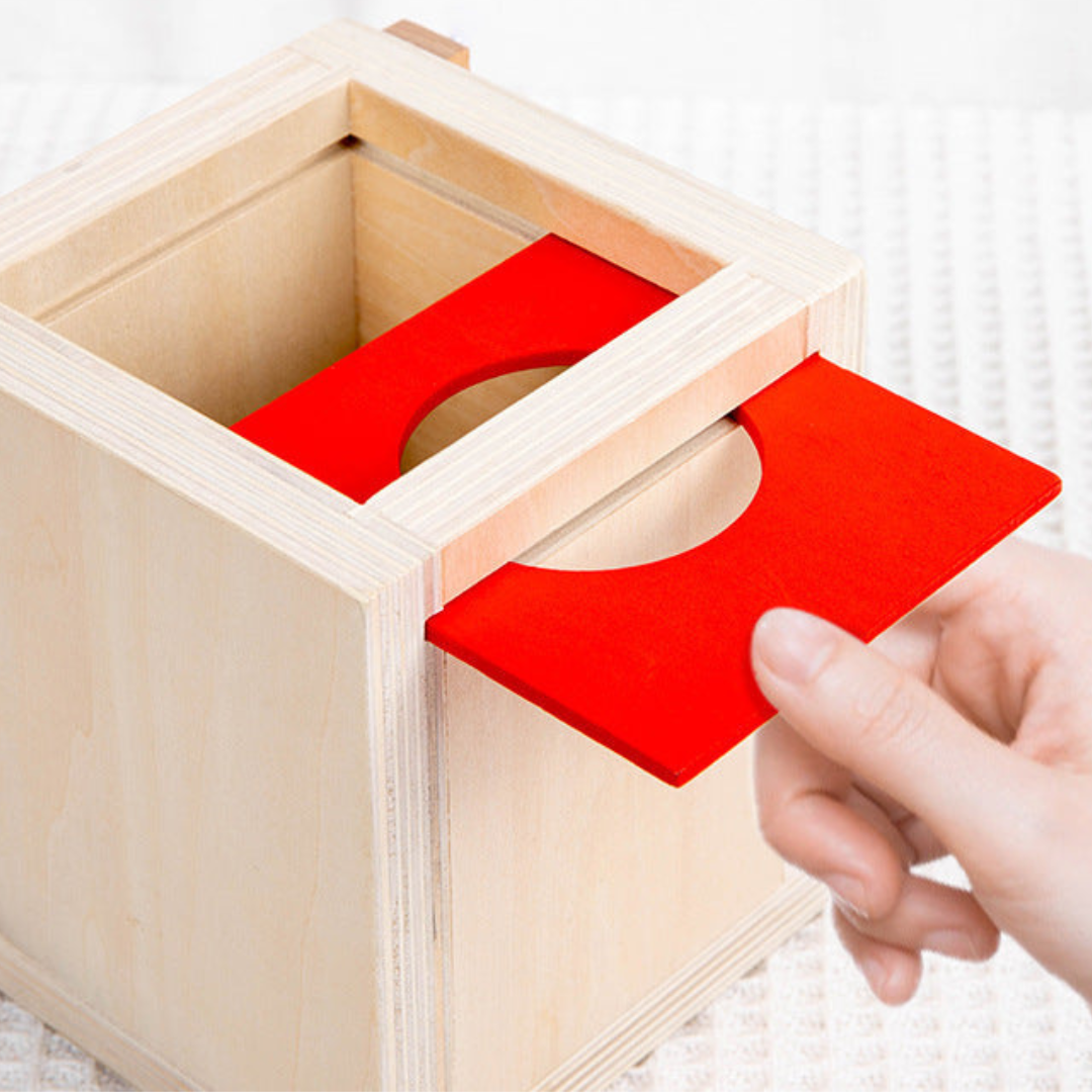 Wooden Educational Toy Set for Kids 5 in 1