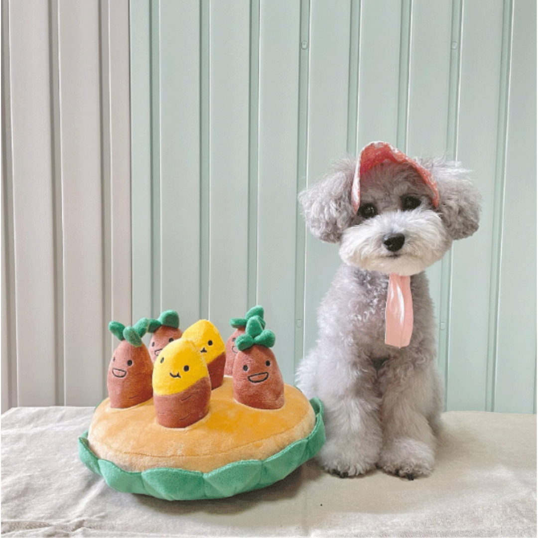 Fun Outdoor Pet Play Toy