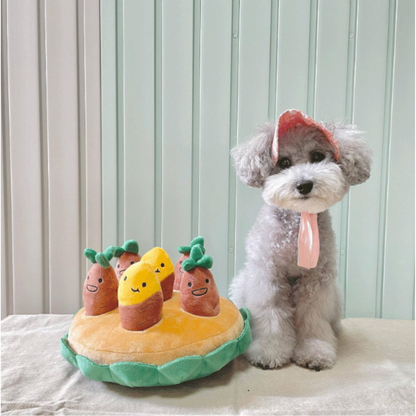 Fun Outdoor Pet Play Toy