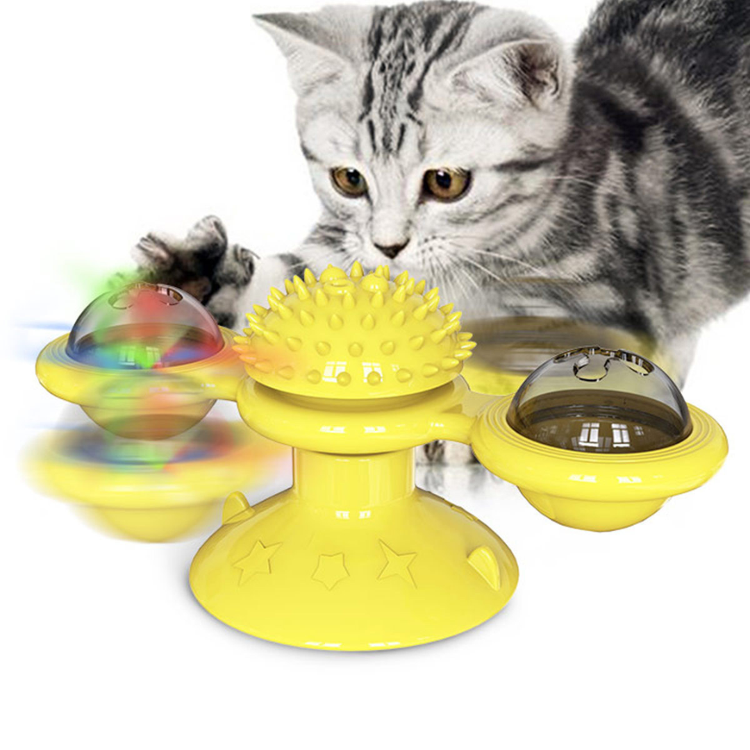 Fun Pet Carousel Cat Toy