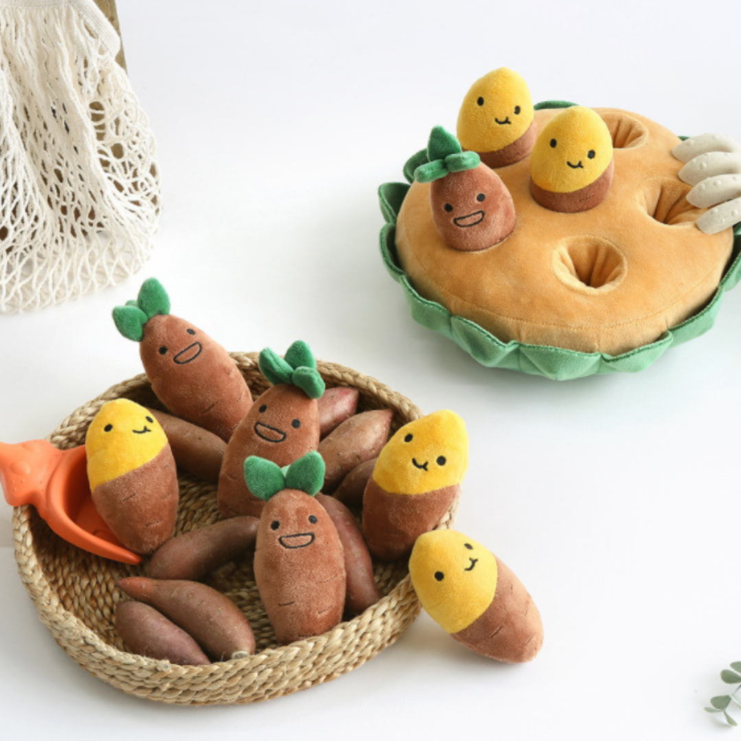 Fun Outdoor Pet Play Toy