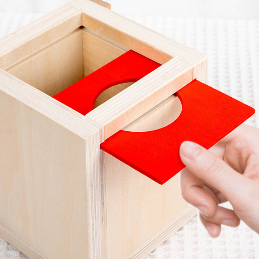 Wooden Educational Toy Set for Kids 5 in 1