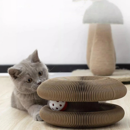 Fun Cat Play Ball Scratcher
