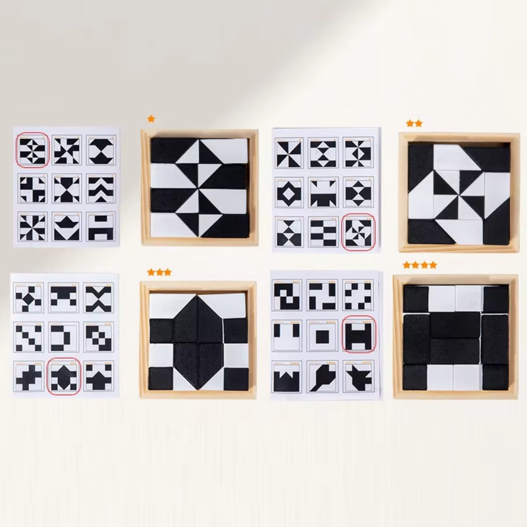 Compact 2-in-1 Brain Teaser Puzzle Game