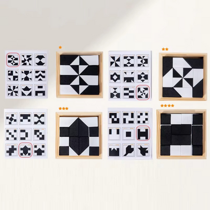 Compact 2-in-1 Brain Teaser Puzzle Game