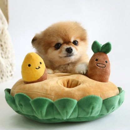 Fun Outdoor Pet Play Toy