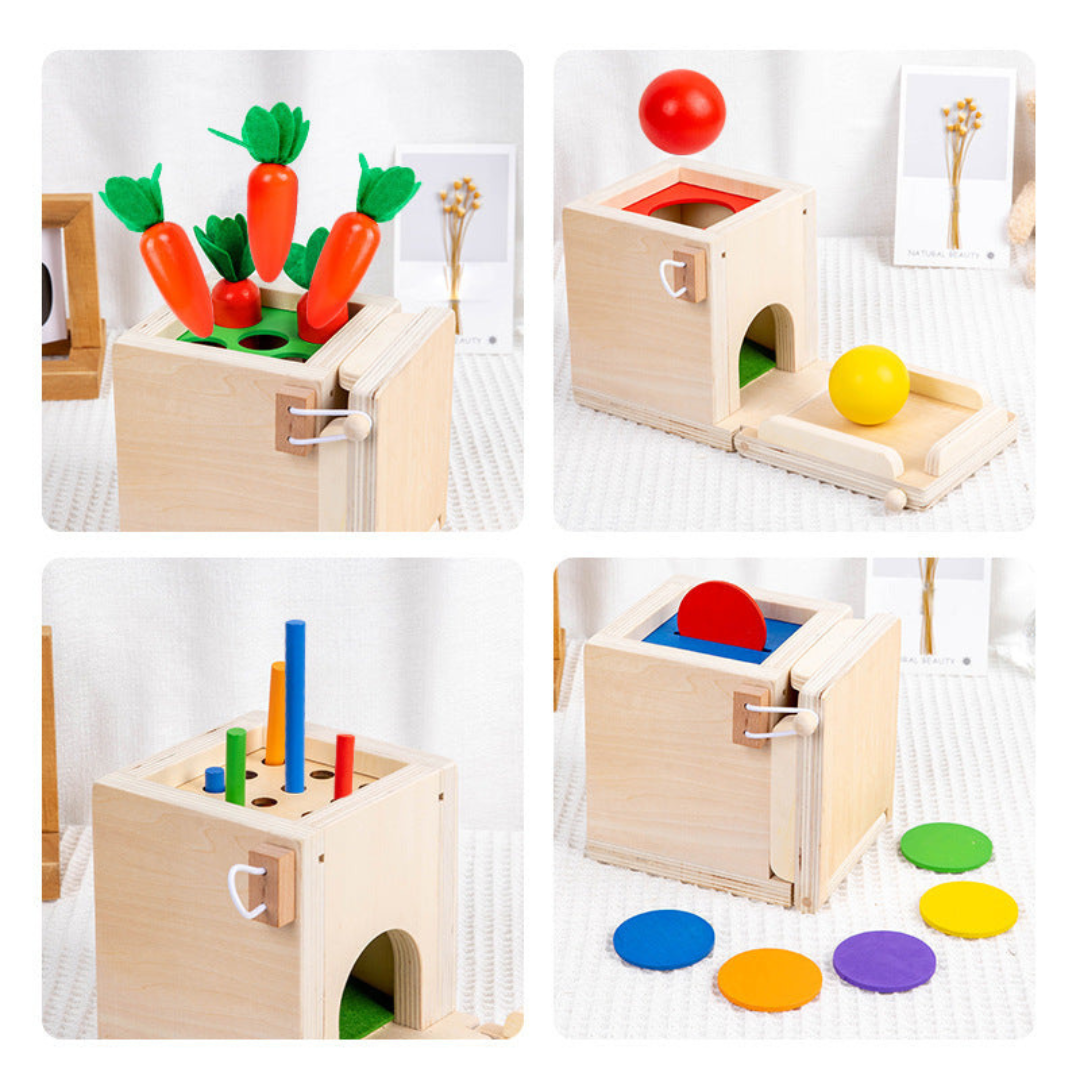 Wooden Educational Toy Set for Kids 5 in 1