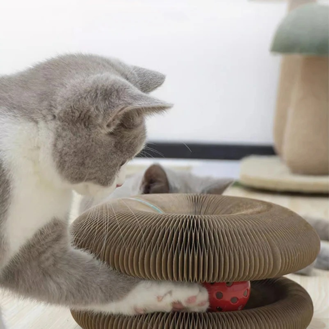 Fun Cat Play Ball Scratcher