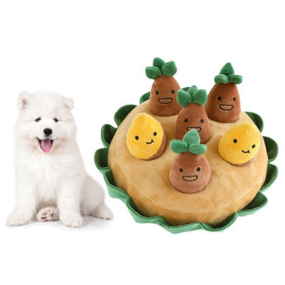Fun Outdoor Pet Play Toy - Befez