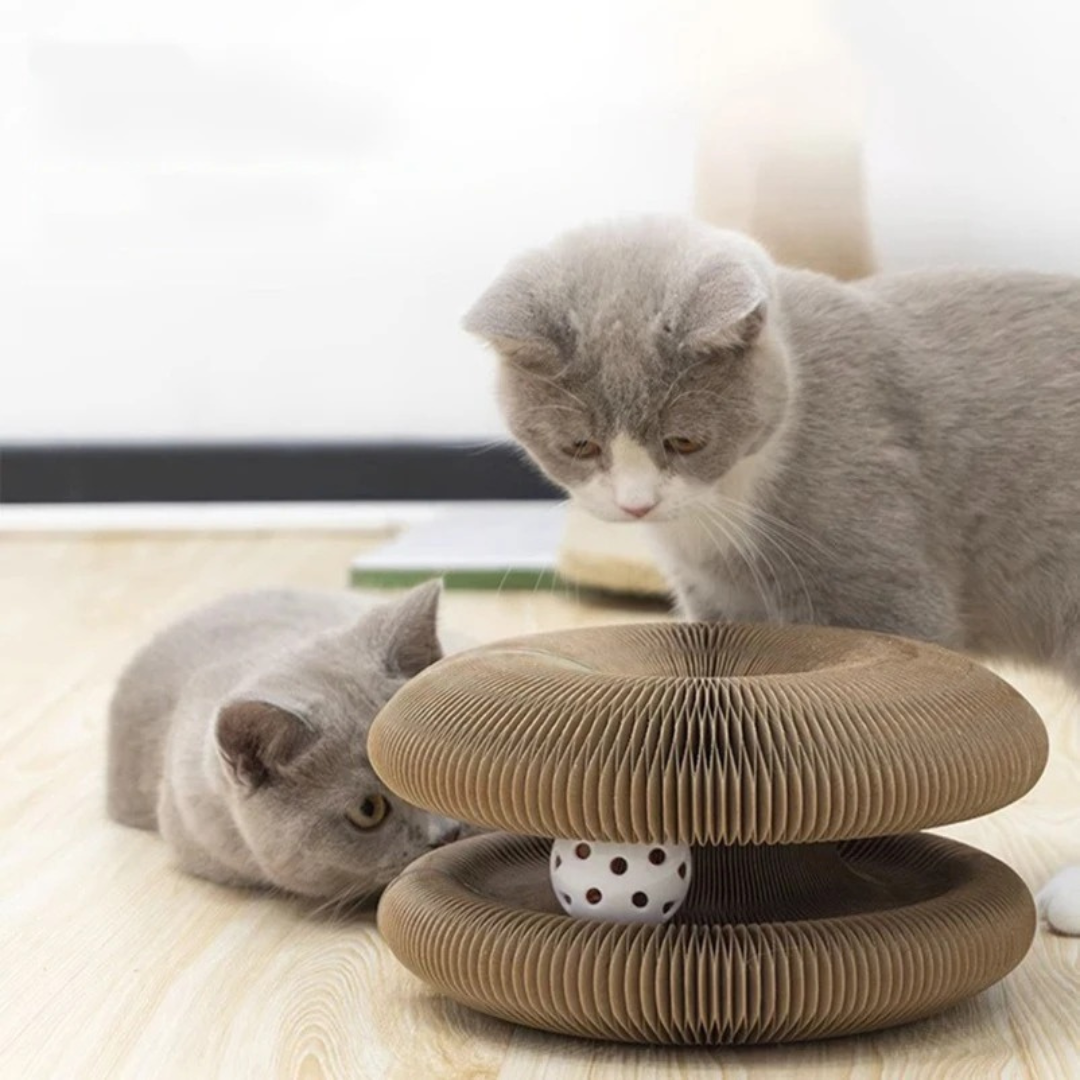 Fun Cat Play Ball Scratcher