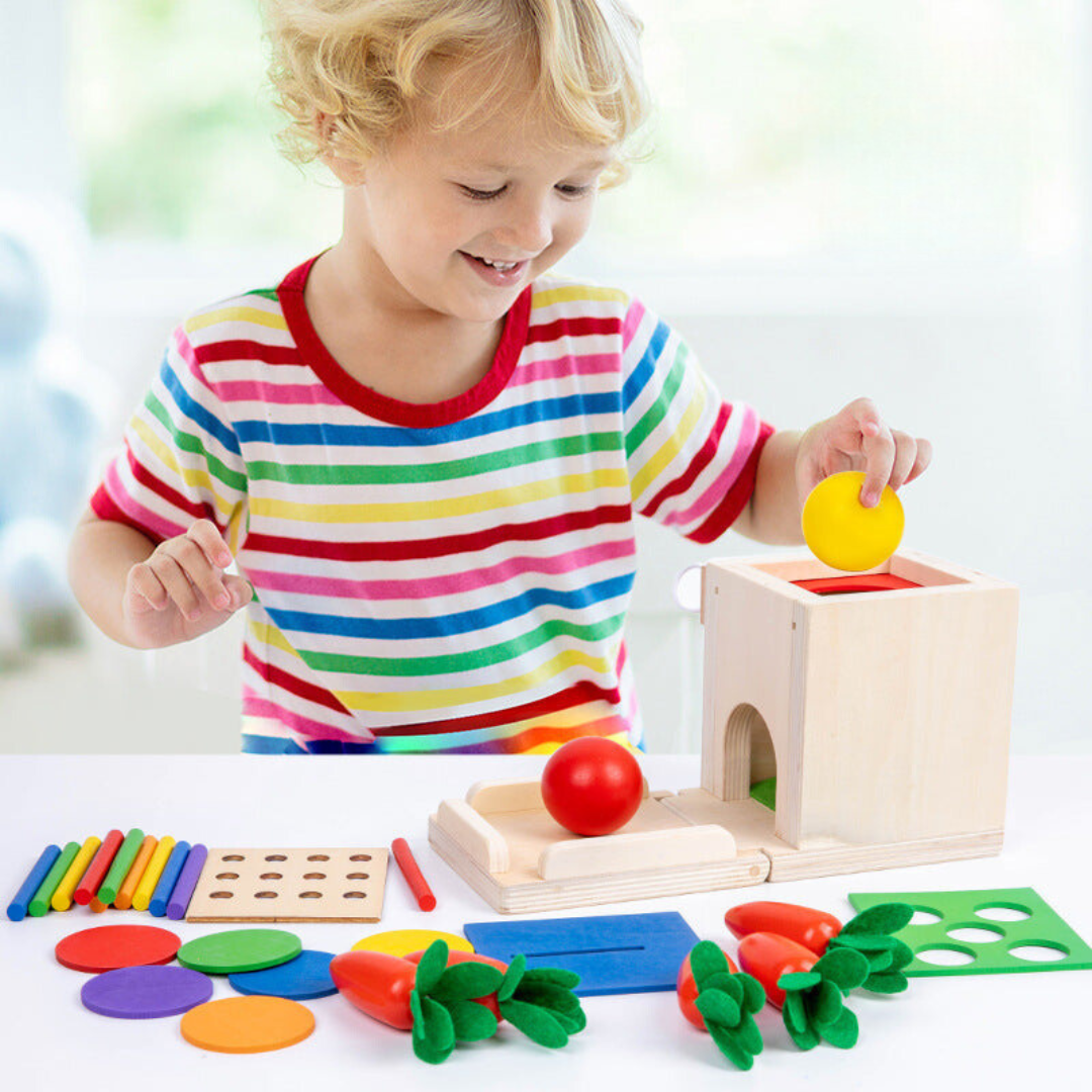 Wooden Educational Toy Set for Kids 5 in 1 - Befez