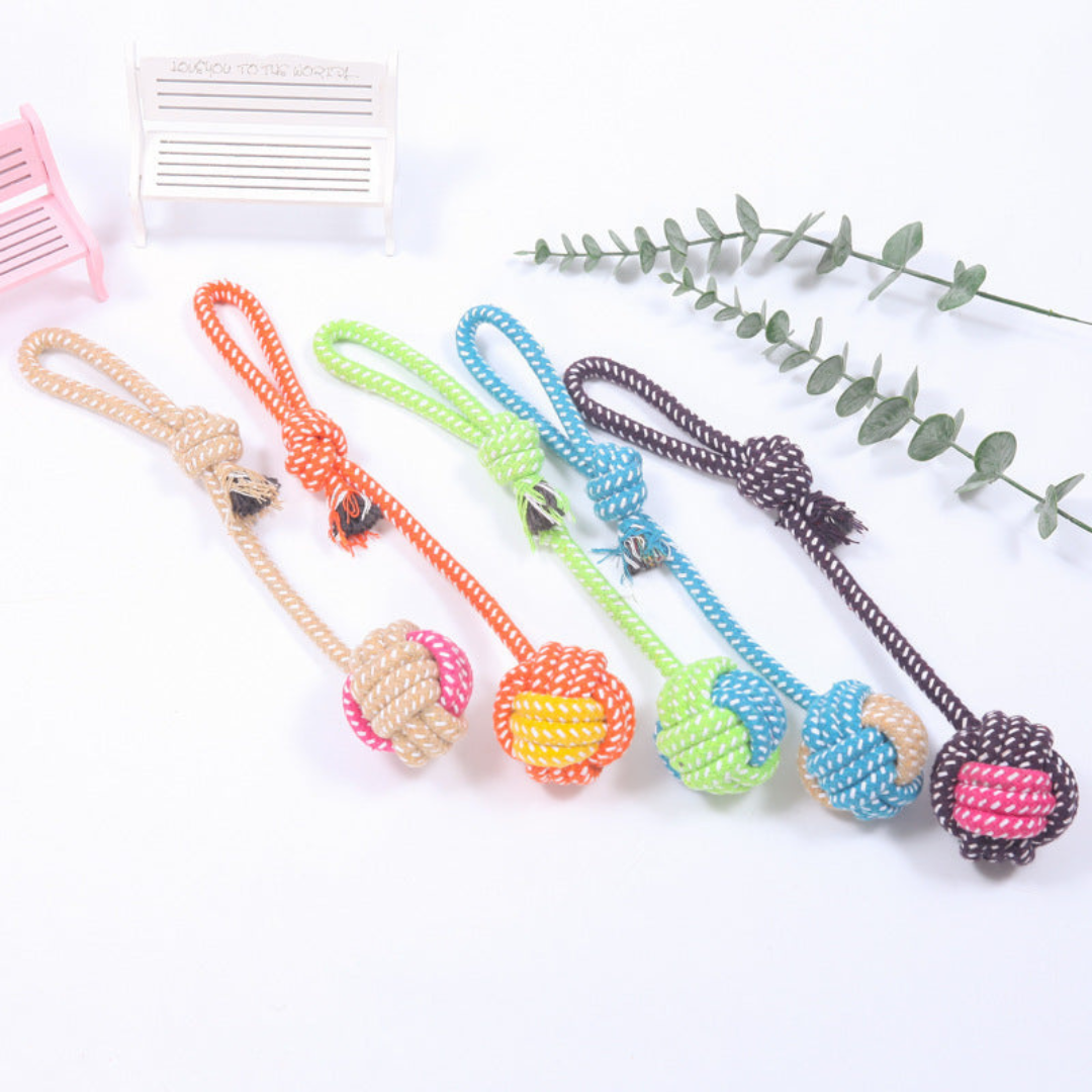 Tough Dog Toy Play Set for Chew and Tug