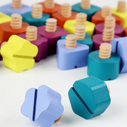 Educational Wooden Color Sorting Toy