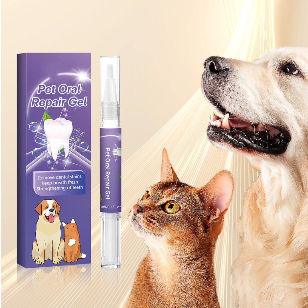 Pet Dental Care Tool Befez