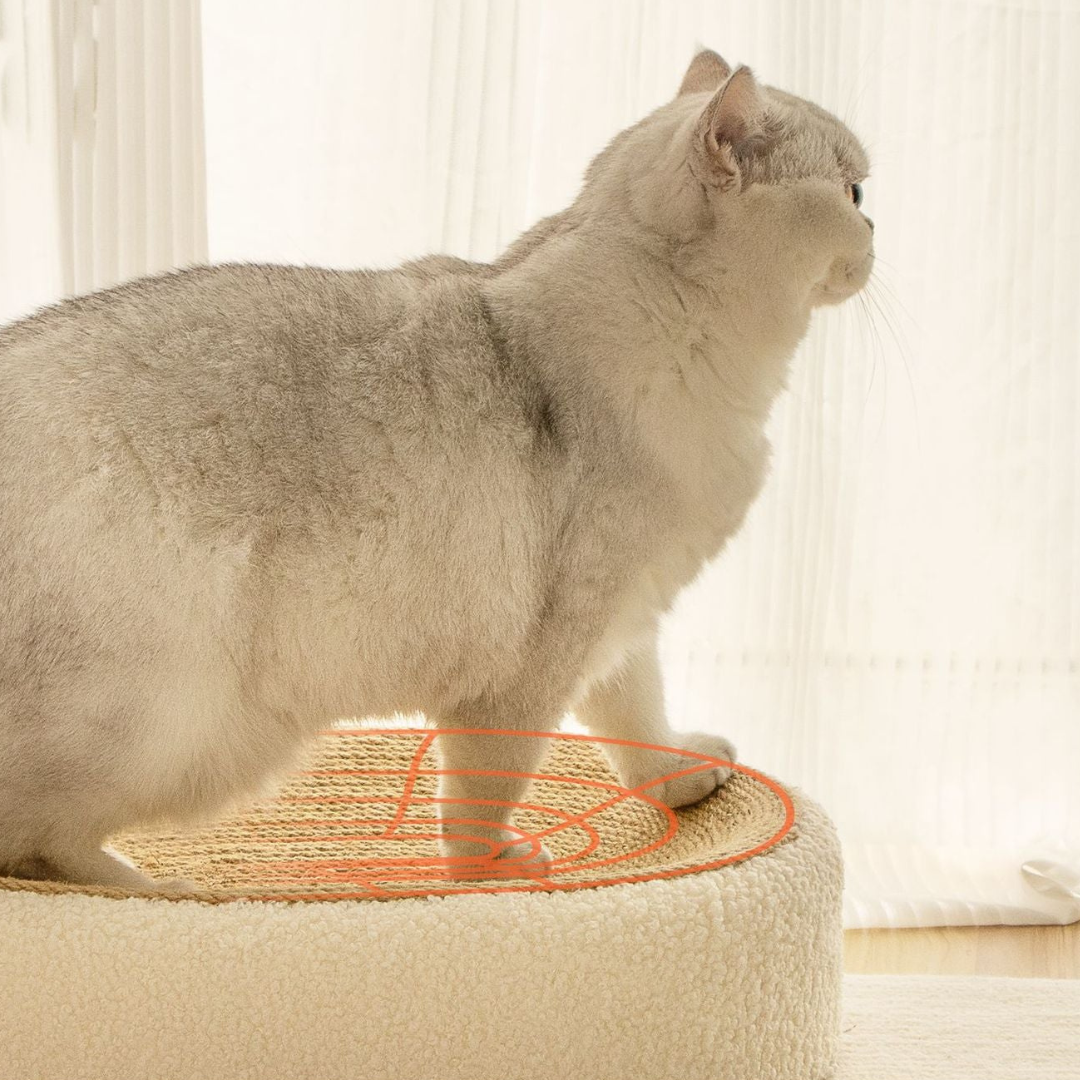 Comfy Cat Scratcher Bed in Natural Beige Color
