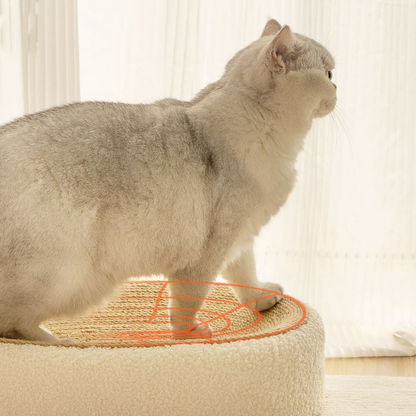 Comfy Cat Scratcher Bed in Natural Beige Color