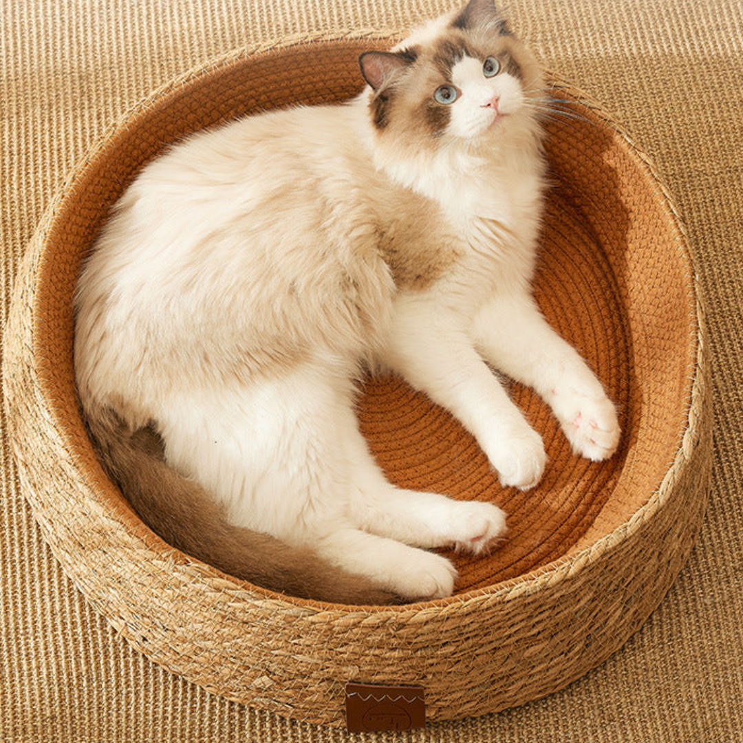 Natural Rattan Cat Scratcher Bed