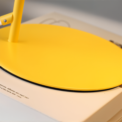 Stylish Adjustable Desk Lamp
