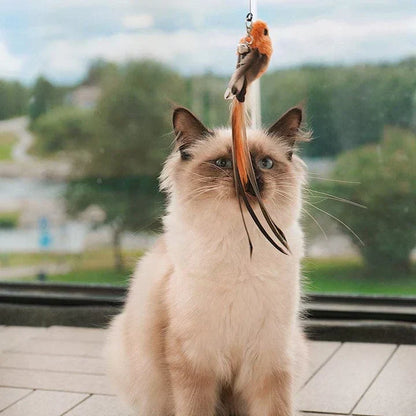 Fun Feather Toy for Cats Interactive Bird