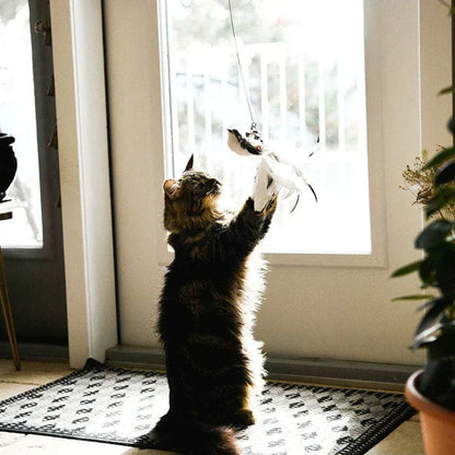 Fun Feather Toy for Cats Interactive Bird