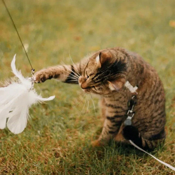 Fun Feather Toy for Cats Interactive Bird