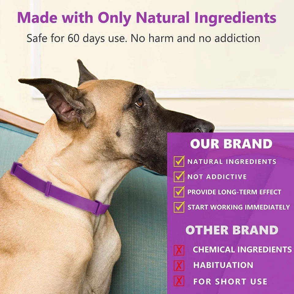 Soothing Comfort Collar for Pets