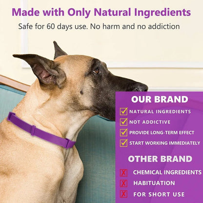 Soothing Comfort Collar for Pets