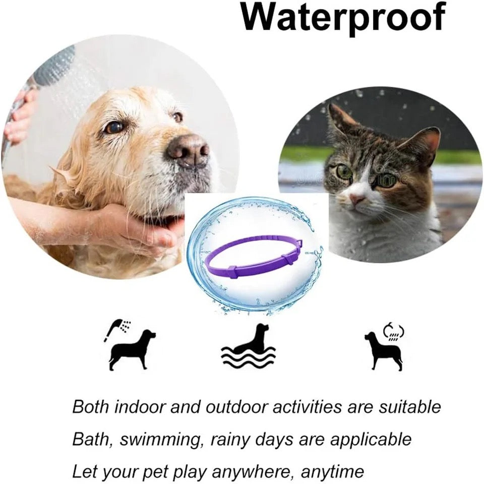 Soothing Comfort Collar for Pets